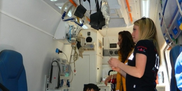 (özel Haber) Posof’ta Ayı Saldırısı: 1 Yaralı