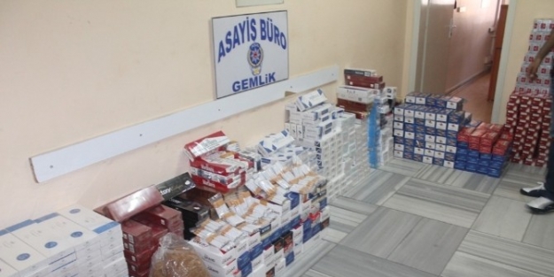 Gemlik’te 6 Bin Paket Kaçak Sigara Ele Geçirildi
