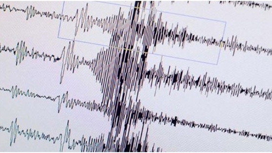 7 şiddetinde sallandı!