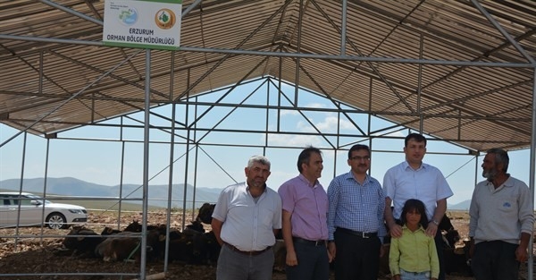 Başovacık Köyü’nde Mera Islah Uygulama Ve Köy Ormanı Projesi