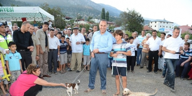 Hayvanseverler Sokak Hayvanları İçin Festivalde Buluştu