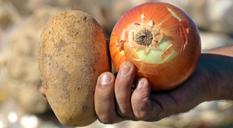 Kuru soğan ve patateste ön izin şartı kaldırıldı!