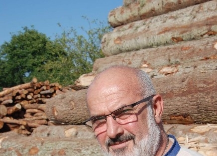 Yaşlı Ağaçlar Ormanları Çürütüyor