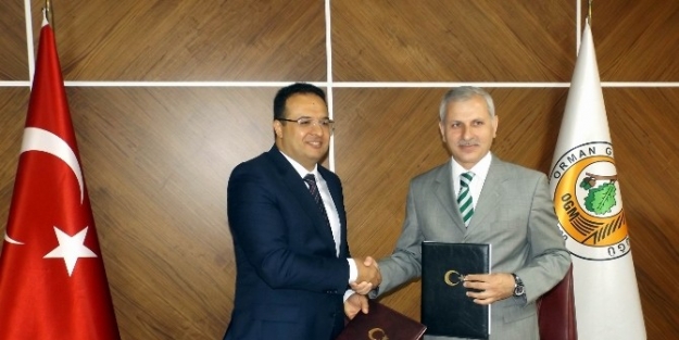 Bursagaz’dan 4 Bin Fidan