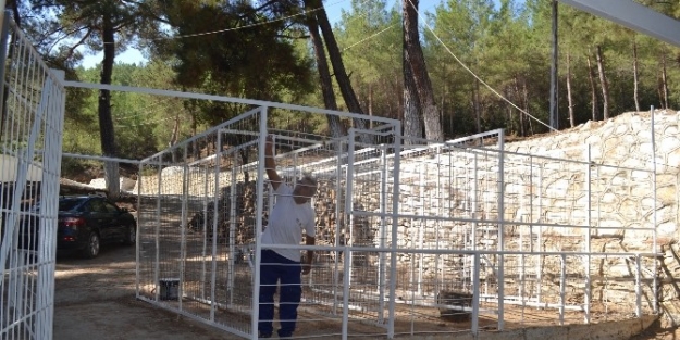 Karacasu Belediyesi, Dedebağ Hayrına Hazırlanıyor