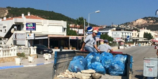 Yenifoça’da Sahiller Pırıl Pırıl Oldu