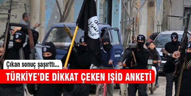 Dikkat çeken IŞİD anketi