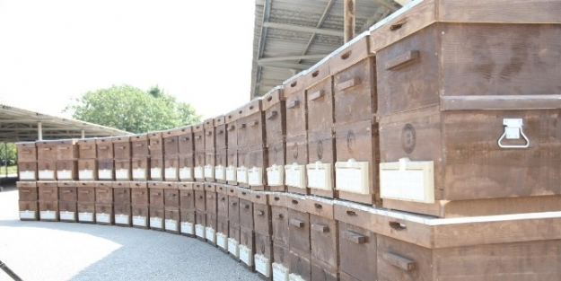 Büyükşehir’den Üreticiye 450 Arı Kovanı