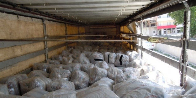 Ağrı’da 35 Ton 450 Kilo Kaçak Çay Ele Geçirildi