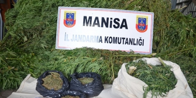 Manisa’da Uyuşturucu Operasyonu