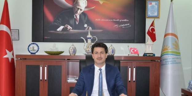 Kütahya’dan Irak’a ’tel Kadayıf’ İhracati