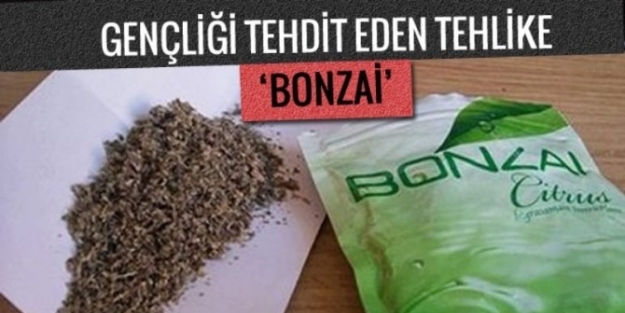 Karabük Valiliğinden "bonzai" Uyarısı