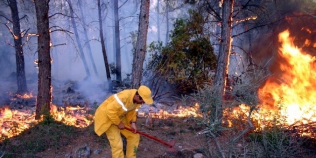 Piknikçilere Yangın Uyarısı