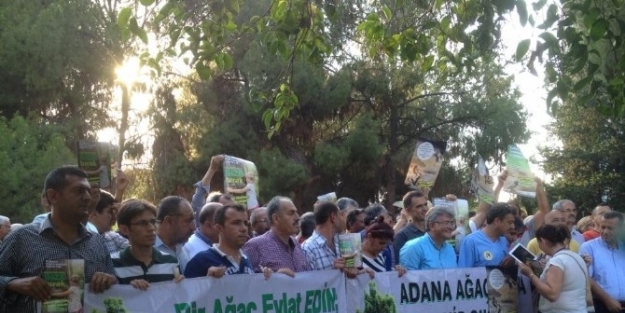 "halk Meclisi"nden Ağaçlar İçin Referandum Çağrisi