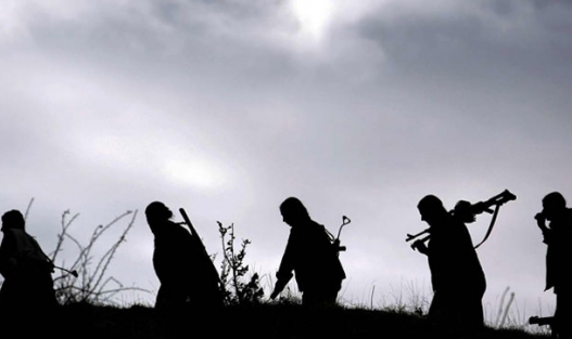 Tello Uçak cinayetini PKK üstlendı.