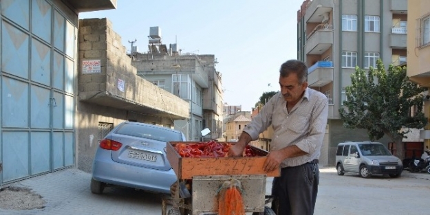 Biber Salçası Yapma Geleneği Sürüyor