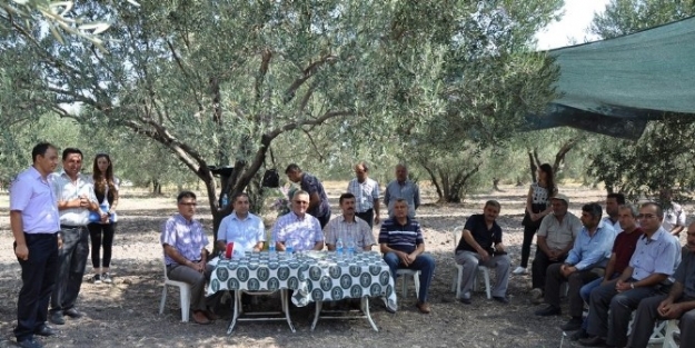 Tarla Eğitimlerine Hızla Devam Ediliyor