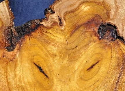 (özel Haber) Kütükten Kurt Figürü Çikti