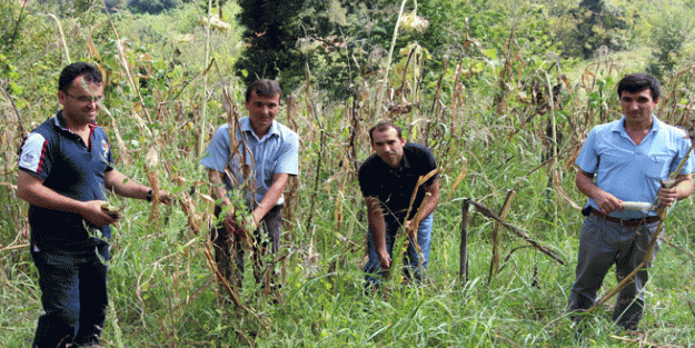 Madenciler sektör değiştirdi