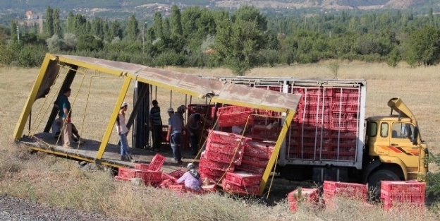 Çankiri’da Tavuk Yüklü Tır Devrildi