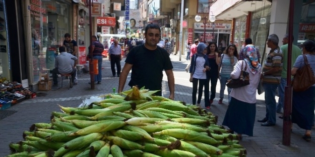 Yerli Taze Mısıra Büyük İlgi