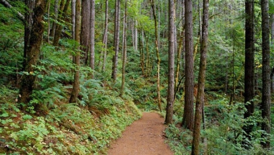 Memurluk sınavında şok değişiklik
