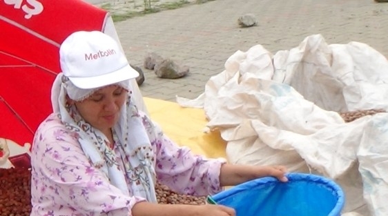 Ulusal Fındık Konseyi’ne Giresun Ziraat Odası’ndan Cevap