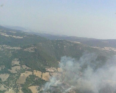 Balıkesir’de Orman Yangınları