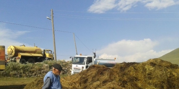 60 Ton Ot Kül Oldu