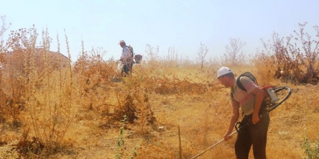 Belediye, Yangın İhtimaline Karşı Kuru Otları Temizliyor