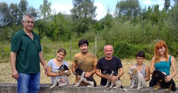 5 Yavru Köpeği Kaderlerine Terk Ettiler
