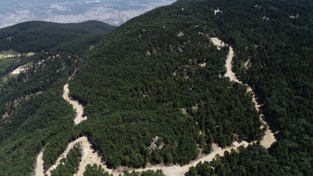 Uludağ'da 1500 ağaç kesildi, tartışma başladı