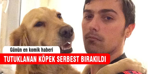 Savcı talimatıyla tutuklanan köpek serbest bırakıldı