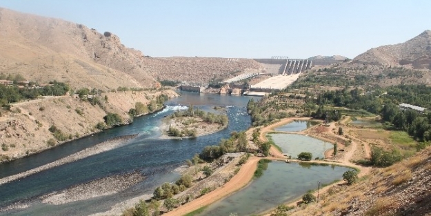 Elazığ’da Alabalık Üretiminde Düşüş