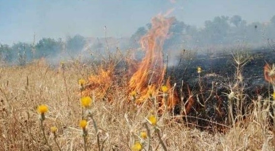 Aşkale’de Korkutan Yangın