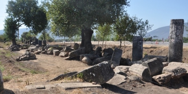 Euromos Antik Kenti’ndeki Agora Ayağa Kaldırılacak