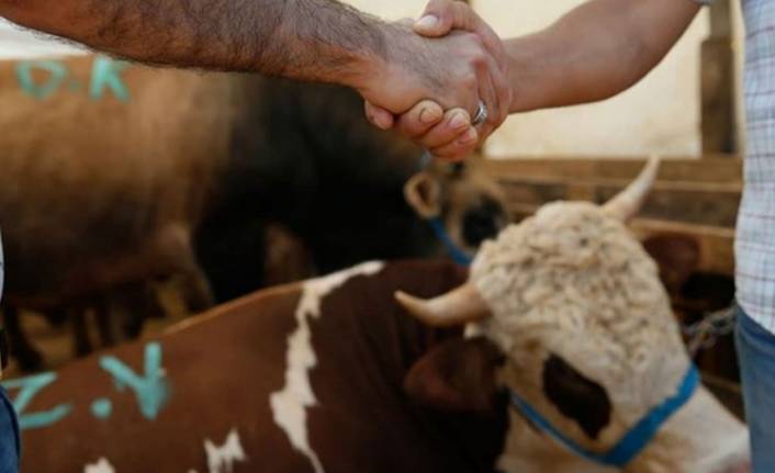 Kurban satışında "tokalaşmalı pazarlık" yasak!