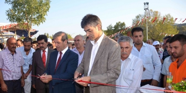 Panayır Hareketliliği