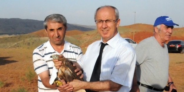 Iğdir’da Tedavisi Yapılan Şahinler Doğaya Bırakıldı