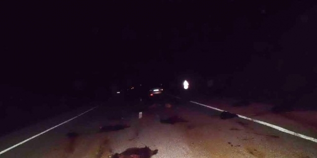 Beyşehir Ve Derebucak’ta Trafik Kazaları