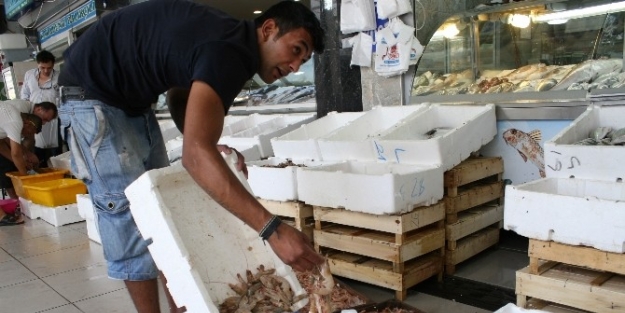 Marmarisli Balıkçılar  Av Sezonundan Umutsuz