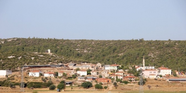 Nohutalan’da 1. Kavun Festivali