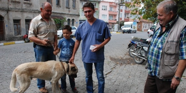 Bayramiç’te Köpeklere Kuduz Aşısı