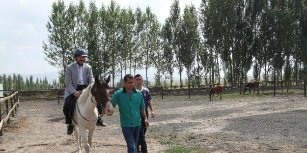 Toplum Ruh Sağlığı Merkezi’nde Sosyal Hayata Kazandırma Çalişmalari