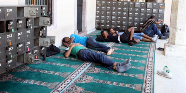 Cami bahçesinde yaşıyorlar