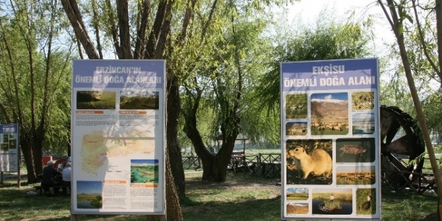 Ekşisu’ Da Hummalı Çalişma