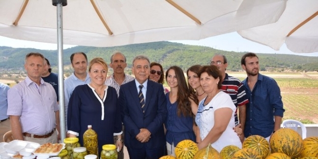 Nohutalan’ın Kavun Kokulu Festivali