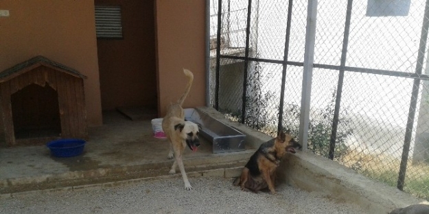 Dohayko’dan Kozan Belediyesi’ne Teşekkür