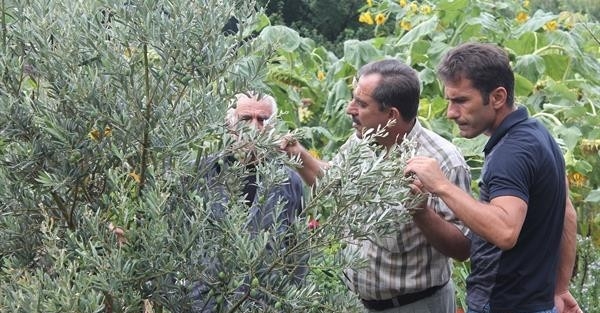 Bayram, Meyve Bahçelerini Gezdi