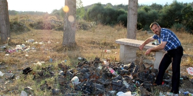 Yüzlerce Fideyi Çöpe Attılar